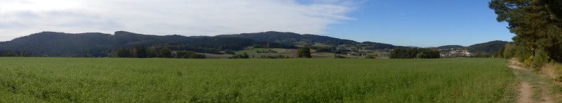 Panorama am Waldesrand