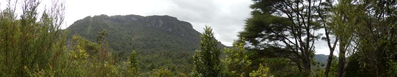 Panorama vom Wainora-Kauris Track