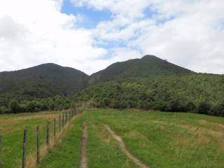 Blick auf den Mount Tauhara am Weganfang