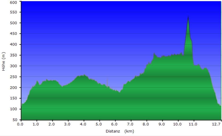Höhenprofil der Tour Rathen - Königstein