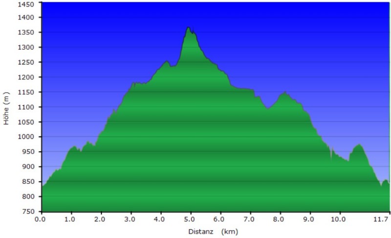 Höhenprofil der Tour auf den Lusen