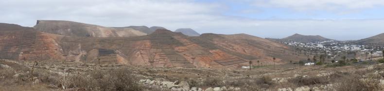 Panorama vom Wainora-Kauris Track