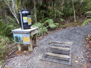 Kaurischutzmanahme am Weganfang