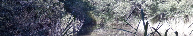 Panorama auf den Biotopweg bei Schluderns